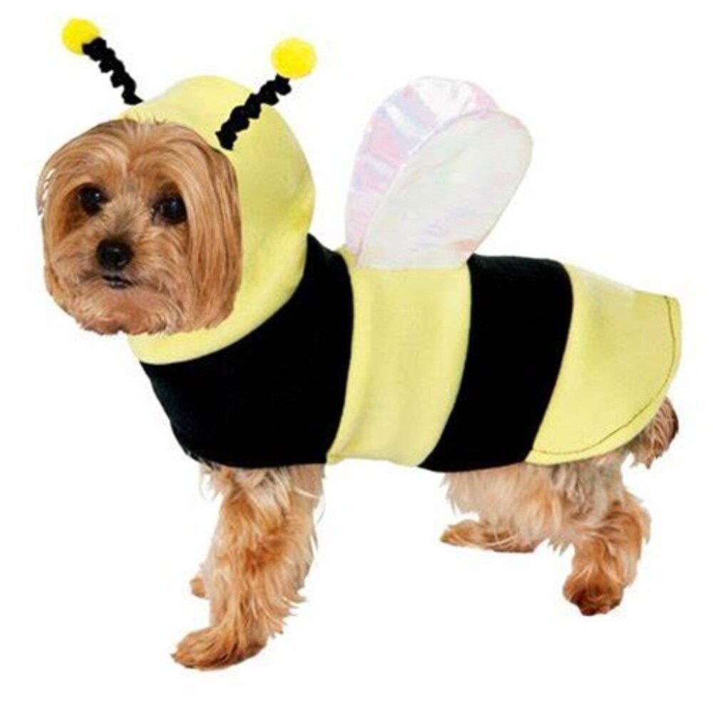 Lil Bumble Bee Costume for Dogs, Small
